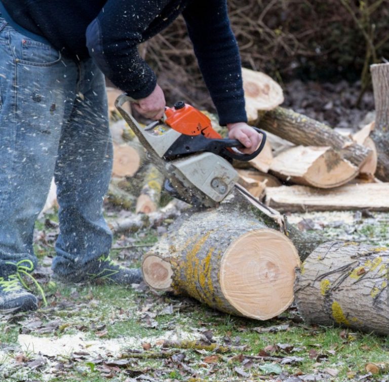 Professionell Stubbfräsning i Vallentuna